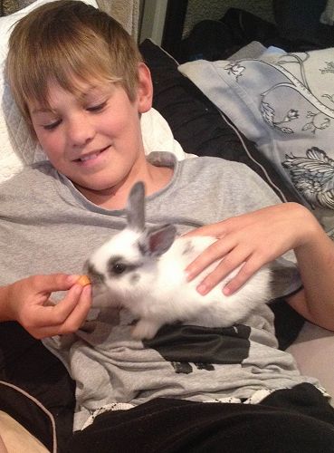 Ashton from Room 5 researched interesting facts about bunnies since his cousins recently gained a few new ones