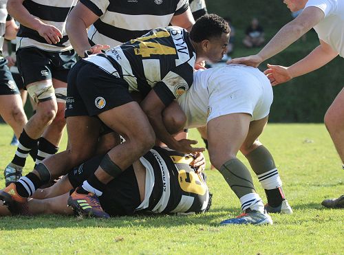 1st XV vs New Plymouth Boys' High School