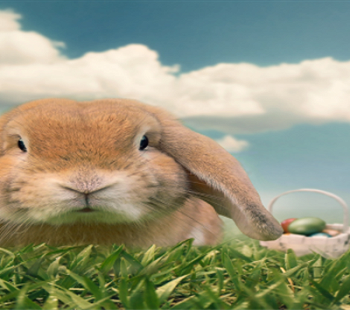 Easter 2024: Leaving distractions behind