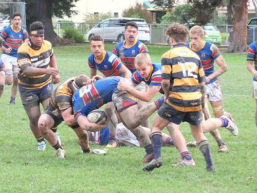 STC vs Marlborough Boys 