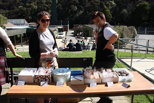 Outdoor Music Concert and Market Stalls