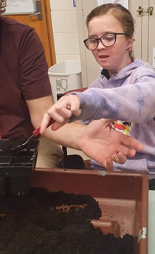 We have been growing seedlings for Matariki. Chelsey was a great help.