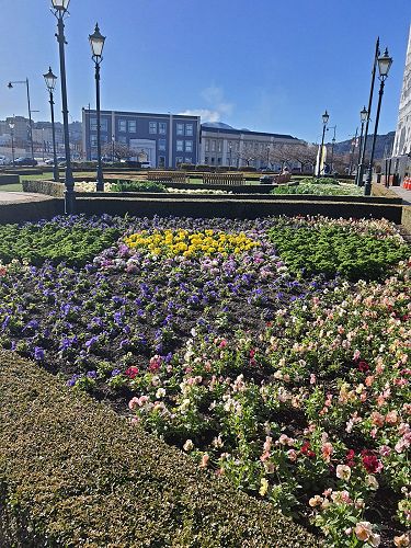 Enjoying the train station flowers