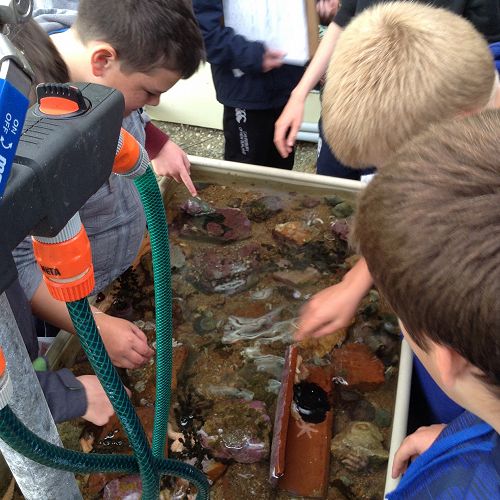 Mighty Molluscs Hunt.  Year 9 Science Field Trip.  Portobello Aquarium.
