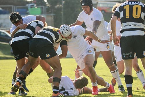 1st XV vs New Plymouth Boys' High School