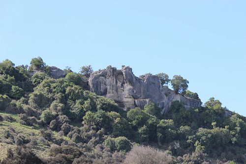 Limestone formations at Kakahu,