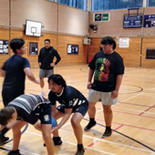 Pasifika Wellness Program Tama Tula’i 