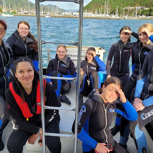 Learning to Dive 2023