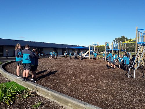 Morning Connect on a Sunny May Morning