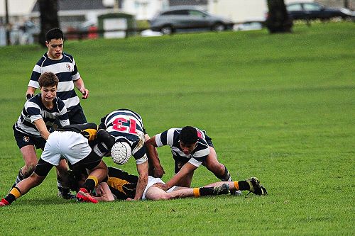 PNBHS Colts Rugby v Wellington College 