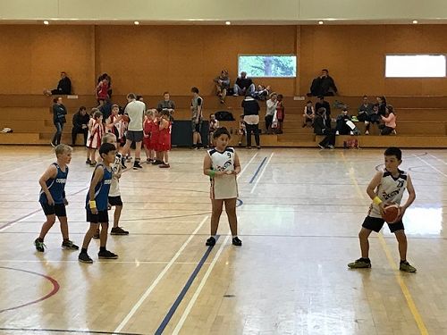 Nicholas, Amani and Te Toa in action.