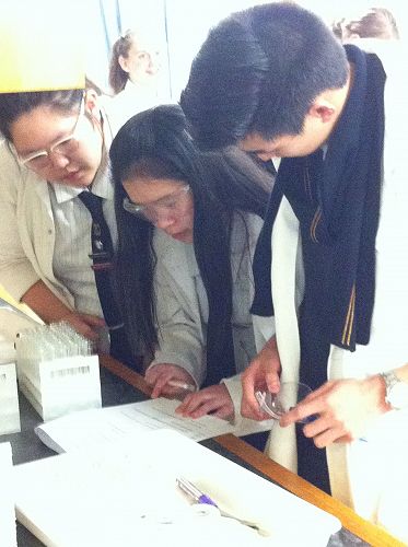 Patricia, Erica and Daniel pour over the competition
instructions.

