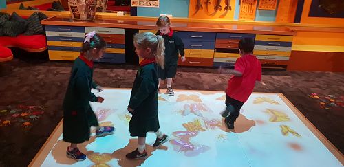 Awa's Trip to the Canterbury Museum