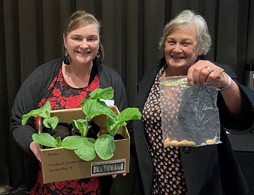 It’s all systems go for the pumpkin competition in District 9980 with President Maree Fleck (left) of Invercargill Rotary displaying her newly sprouted plants and President Trish McDougall shows her prize pumpkin seeds.