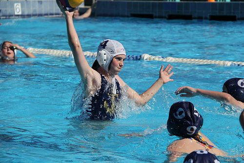 Year 5 and 6 Flippaball