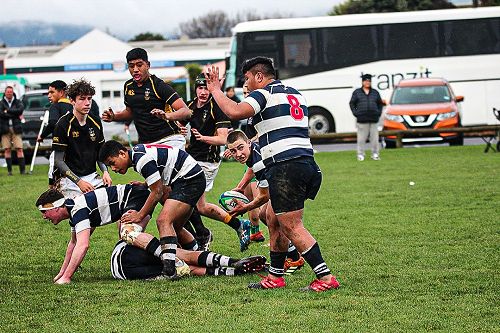 PNBHS Colts Rugby v Wellington College 