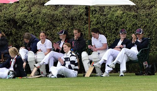 A Day at The Willows