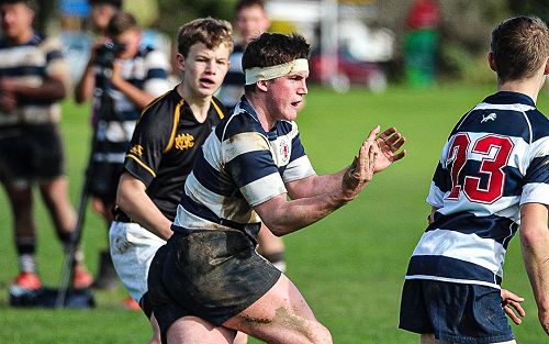 PNBHS Colts Rugby v Wellington College 