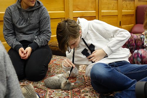 Cuddle Fix - 10 June 2018