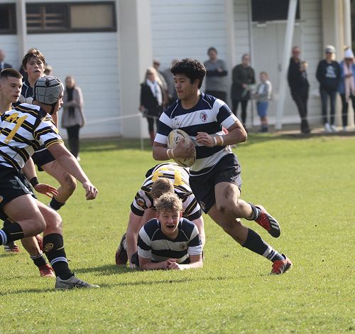 2nd XV vs New Plymouth Boys' High School