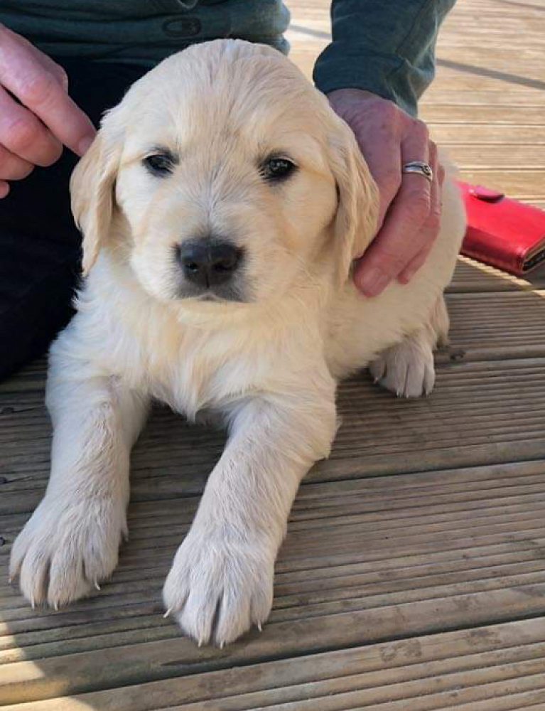 Welcome To Harvey Greenwood Newsletter May 2019