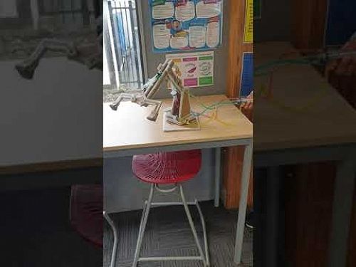 Video: Tall Poppy Science Day