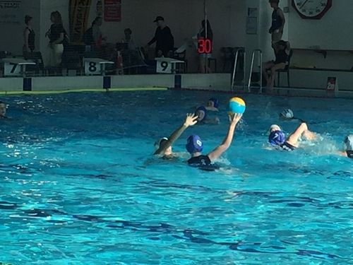 Waterpolo
