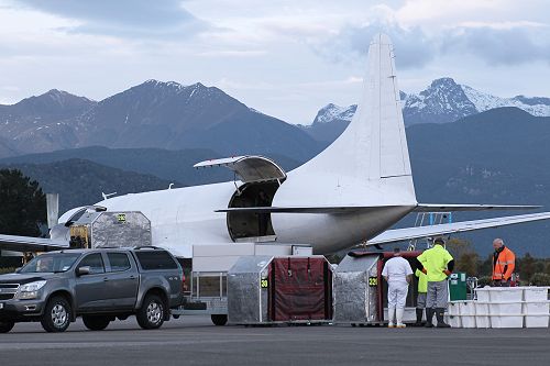 When the hold is full, the Air Chathams aircraft will lift off and fly to Auckland.