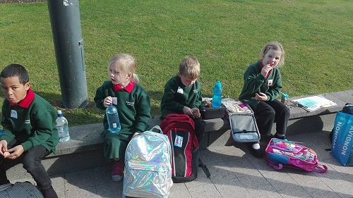 Team Awa's Visit to the Art Gallery and Museum