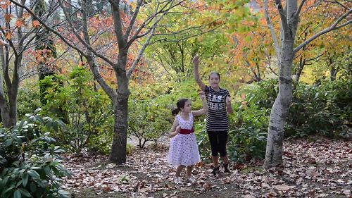 Video: Simpson Family!