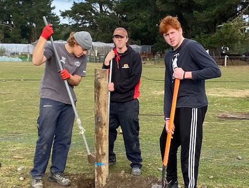 Cody, Tyler and Sam - NTA