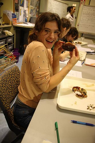 Year 12 Biology Field Trip