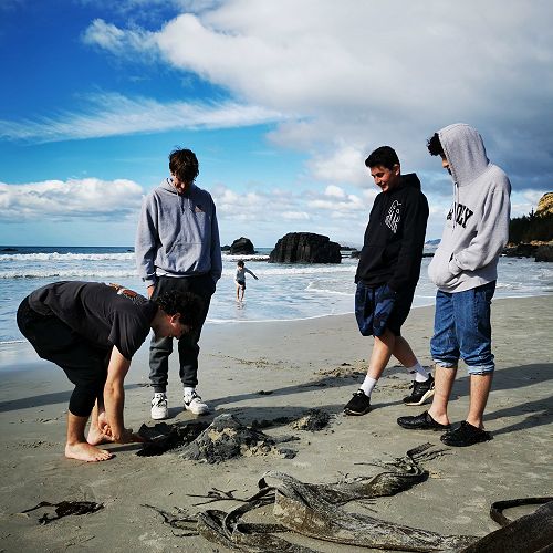 Harry, Ben, Hugh and Alex looking at the compositi