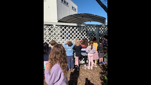 Video: IMG_9653 (2).mov