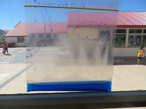 Water Cycle in a bag