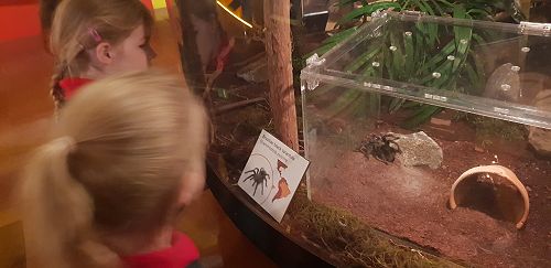 Awa's Trip to the Canterbury Museum