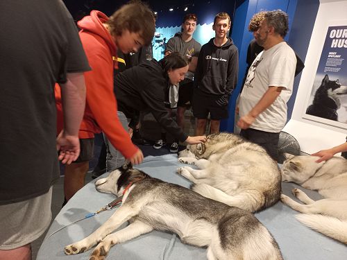 Earth Space Science visit to the Antarctic Centre