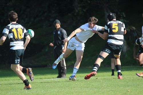 1st XV vs New Plymouth Boys' High School