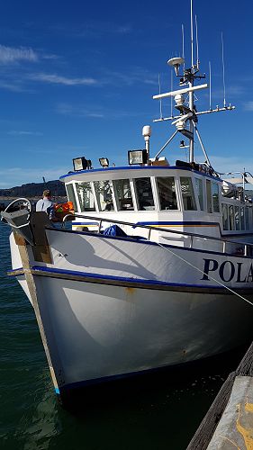 Science Teaching Leadership Programme