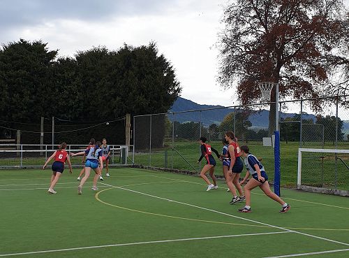 Learning Through Sports Camp