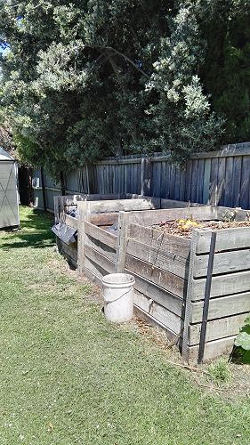 What's Growing in Term 4 2018