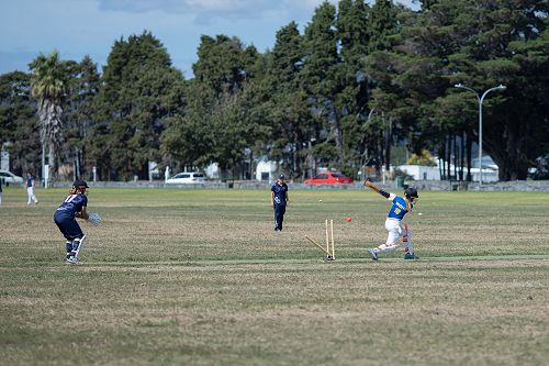 Cricket action shot