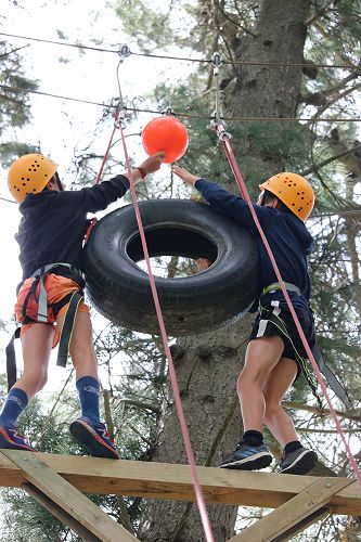 Reaching the top of the vertical playpen