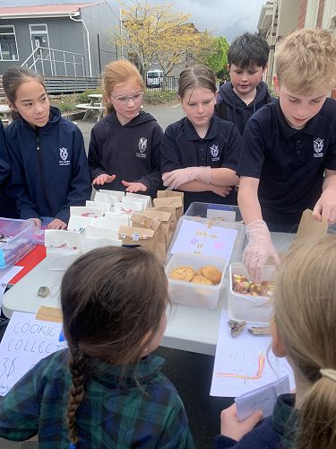 Choosing merangue flavours