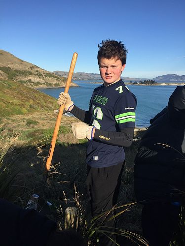 Planting for Penguins 