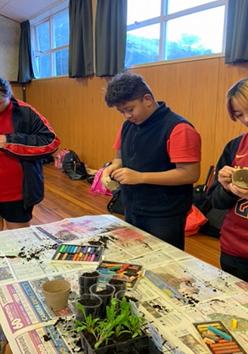 Christchurch Provisions