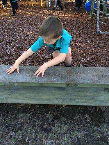 Brrrrrr! Zac exploring the frost