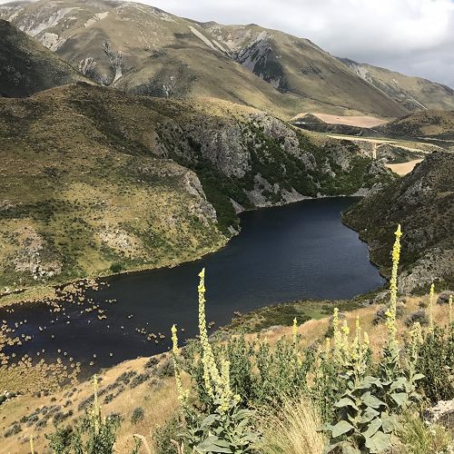 Windwhistle High Country 4WD Tour 