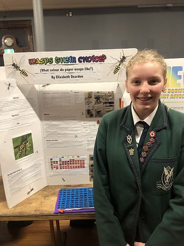 Elizabeth Dearden and her project on paper wasp nests