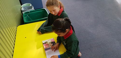 Team Awa and Wairere Buddy Class